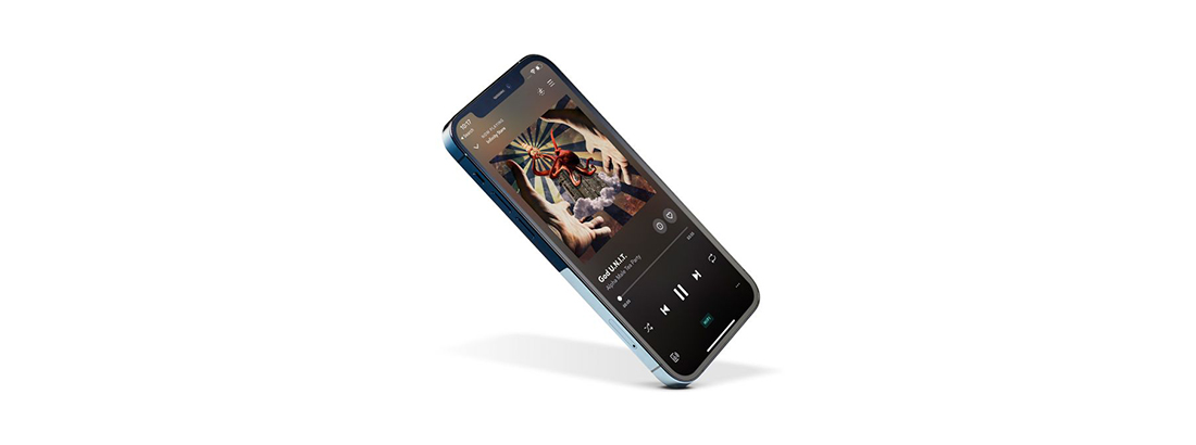 اپل گوشی آیفون 12 پرو مکس را در رنگ‌های خاکستری، طلایی، آبی و نقره‌ای به‌فروش می‌رساند.
